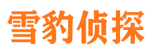 解放婚外情调查取证